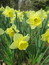 User post image