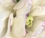 User post image