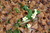 User post image