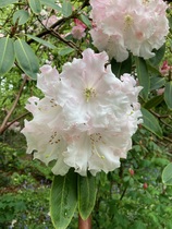 User post image