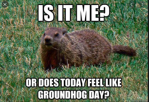 User post image