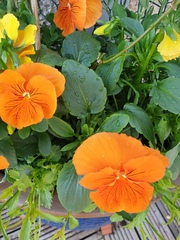 User post image