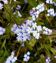 User post image