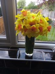 User post image