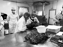 User post image