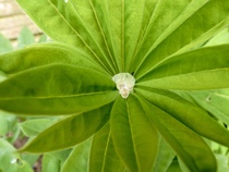 User post image