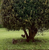 User post image