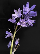 User post image