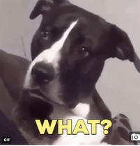 User post image