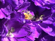 User post image