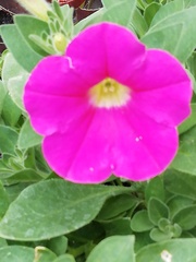 User post image