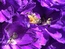 User post image