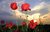 User post image