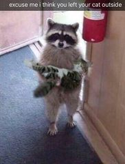 User post image