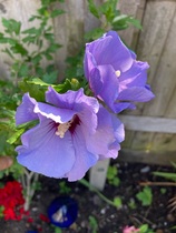 User post image