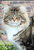 User post image
