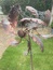 User post image