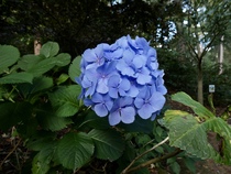User post image
