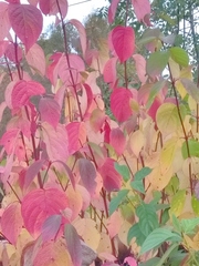 User post image