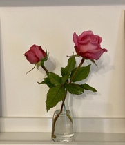 User post image