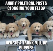 User post image