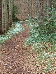 User post image