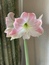 User post image