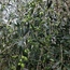 User post image