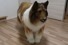 User post image