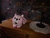 User post image