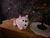 User post image