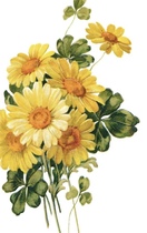 User post image