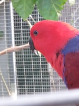 User post image