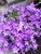 User post image