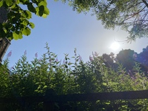 User post image