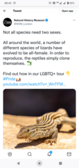User post image