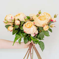 User post image