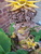 User post image