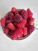 User post image