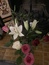 User post image