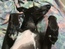 User post image