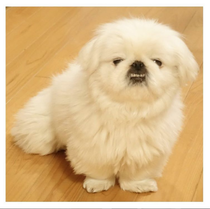 User post image
