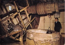 User post image