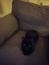 User post image