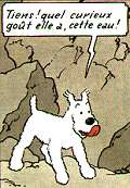 User post image