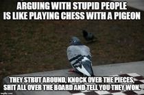 User post image