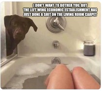 User post image