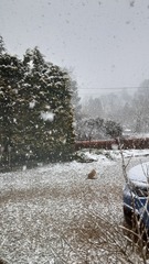 User post image