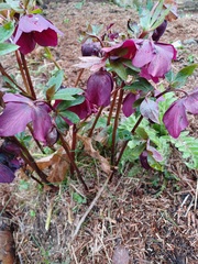 User post image