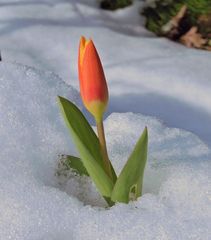 User post image